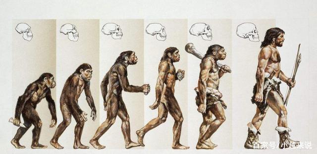 那现在猴子还会变成人吗?