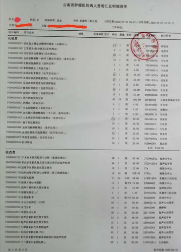 费用清单.jpg[示范文本下载]