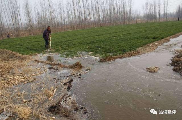 延津农村浇地变迁史