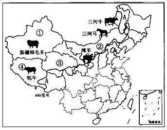 读我国四大牧区分布示意图,完成下列问题:(14分)