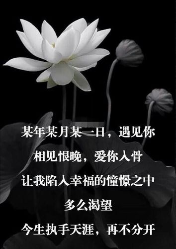一首《爱一个人就是让她幸福》给我放不下的你,忘不了的你.