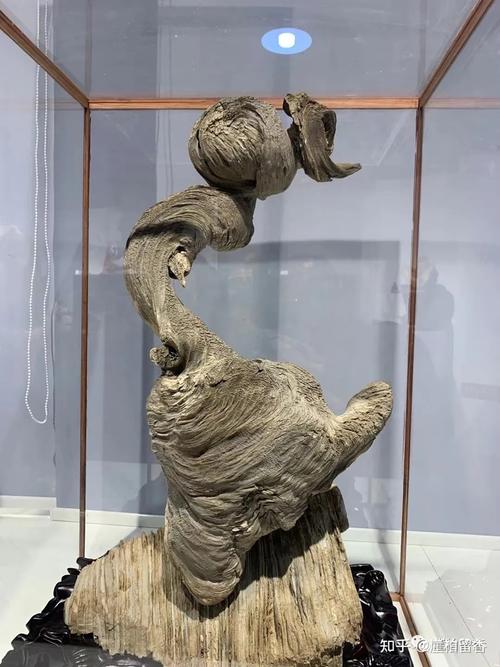 疯狂的崖柏展到底如何呢