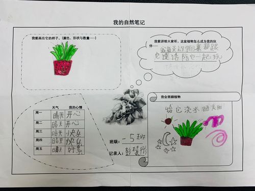 我的自然笔记(多肉篇)