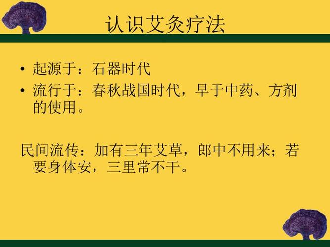 中医理疗-艾灸.ppt