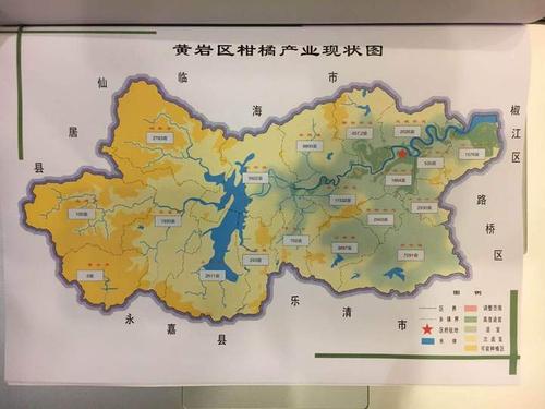 滚动全国柑橘专家齐聚黄岩蜜橘十年规划评审会召开