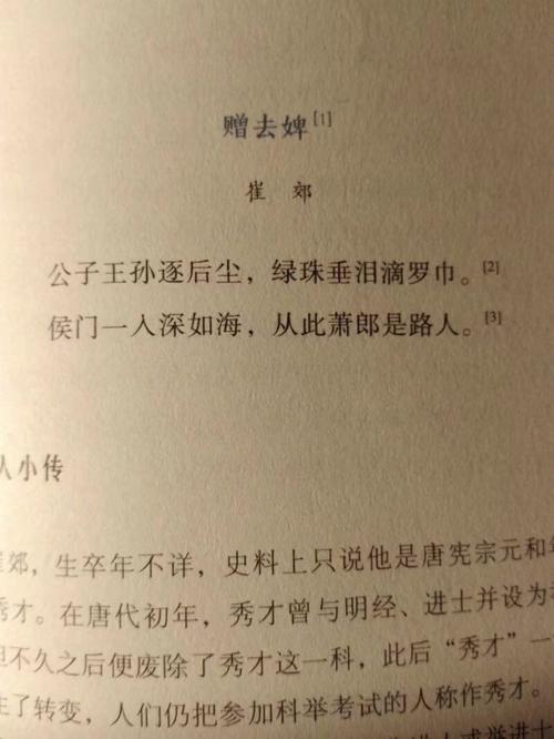 读《赠去婢》有感