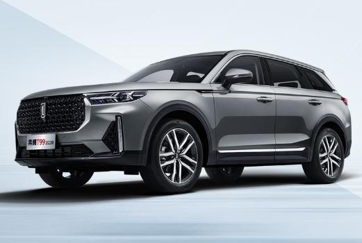 我为什么选择奔腾t99大气实用配置丰富服务难以抗拒