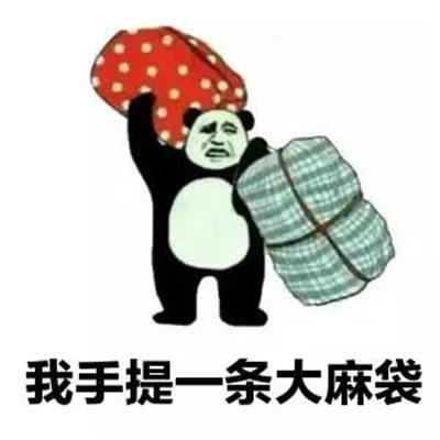 我手提大麻袋表情包带字大全最新流行的搞笑微信表情包