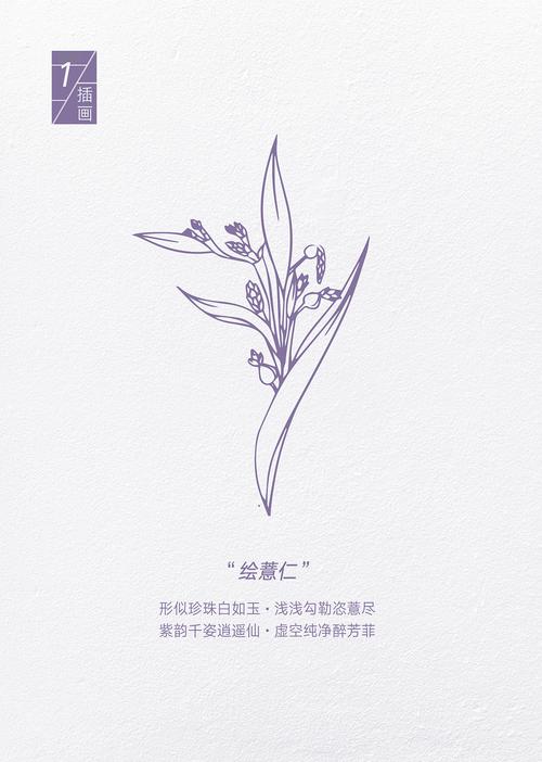 雅绘|紫韵薏仁