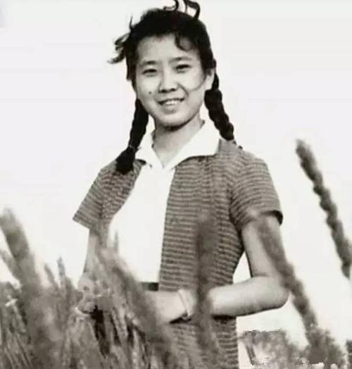 有人说,《瞧这一家子》至少改变了3个人的命运,雅清深以为然.