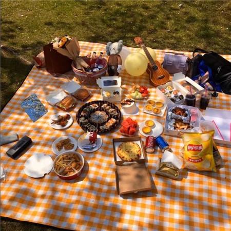 野餐图片大全真实高清春季野餐图片小清新意境