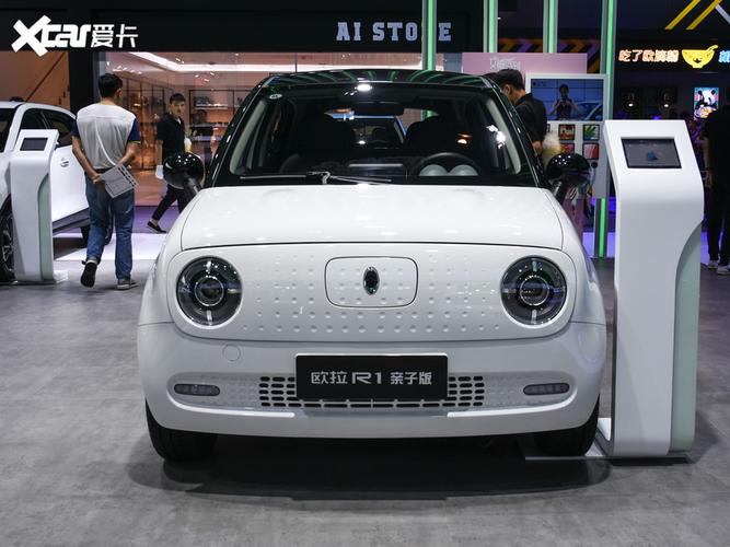 【2019款欧拉黑猫351km 亲子版_整体外观_1/991张图片