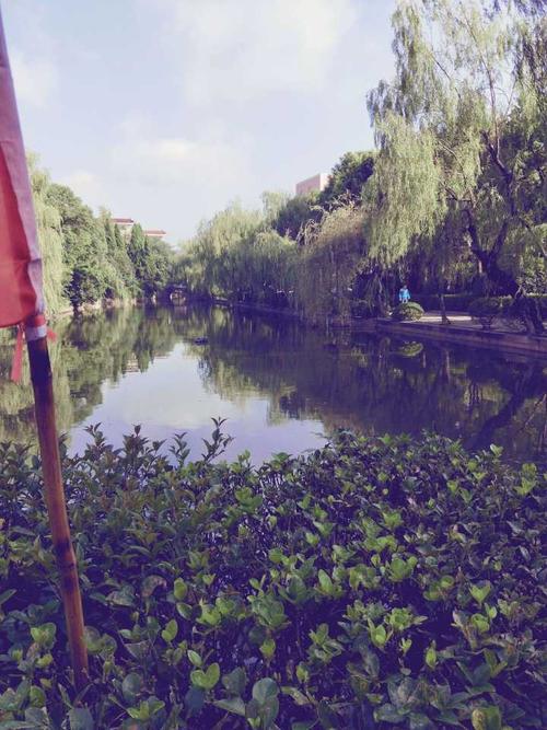 在江苏省白蒲中学读书什么体验