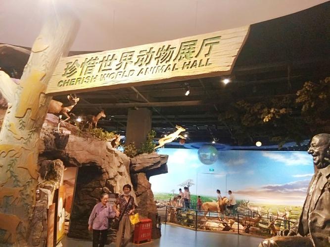 陕西省自然博物馆,西安自助游攻略 - 马蜂窝