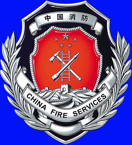 亦称中国人民武装警察部队山东省消防总队,隶属公安部消防局和山东省