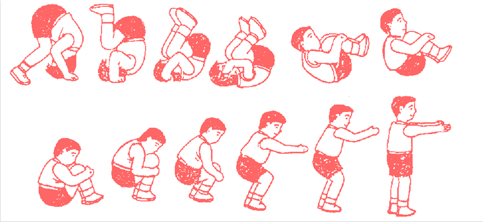 蹲撑前滚翻说课稿——丛台区学步桥小学 袁震