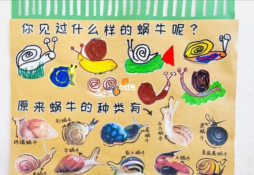 幼儿园环创丨蜗牛主题课程环创丨探索大自然_蜗牛_幼儿园环创_环创