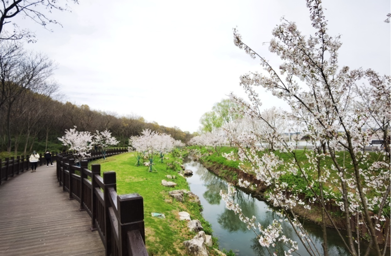 仙林生态人居新景苏邑设计羊山公园景观提升工程