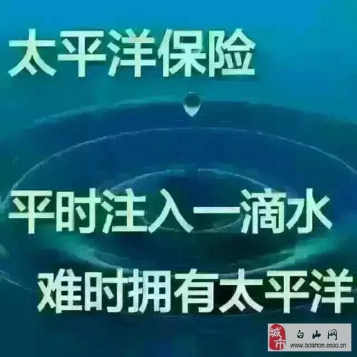 太平洋保险公司寻求团队伙伴