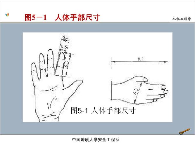 图5-1 人体手部尺寸 人机工程学 图5-1 人体手部尺寸 中国地质大学