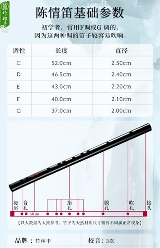 陈情笛笛子魔道儿童初学零基础竹笛古风鬼令祖师同款cos羡羡横笛