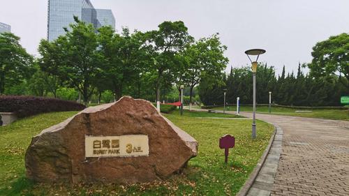 on the way 七月～苏州白鹭园