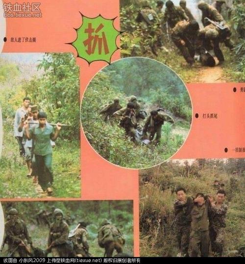 老山轮战第九侦察大队老兵回忆:威震南疆的捕俘行动(31p)