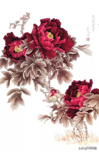 花开富贵——工笔牡丹临习范本选页欣赏