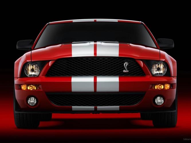 谢尔比眼镜蛇gt500野马6