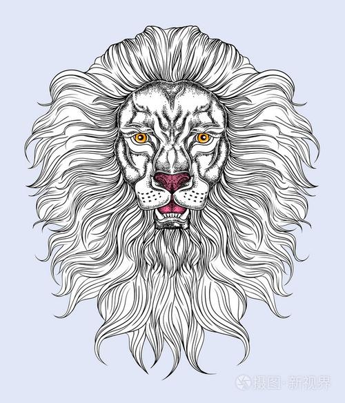 矢量动物插画孤立