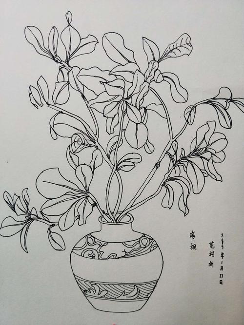 植物写生——丹青书画空间造型艺术中级班