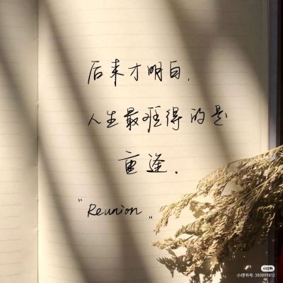 带文字的背景图/落日归了山海,晚霞留在了人间.