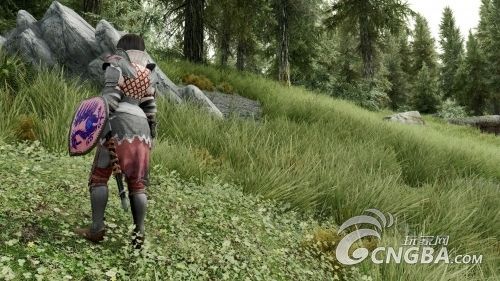 上古卷轴5天际新mod截图折翼的黑丝天使