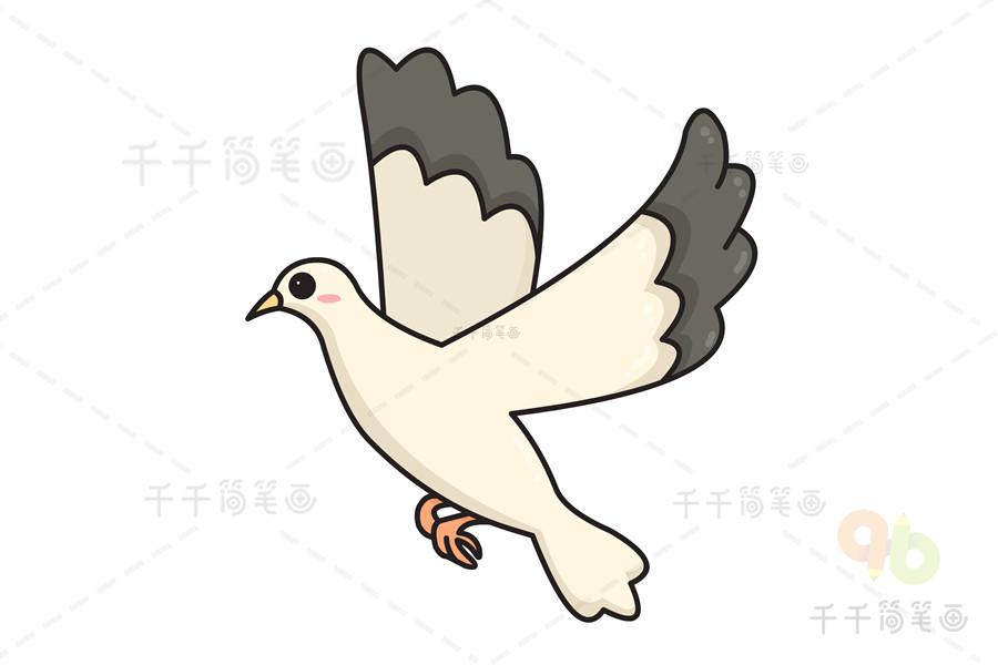 儿童画海鸥简笔画
