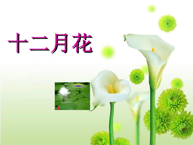 2014秋二年级语文上册十二月花ppt课件2 北京版.ppt