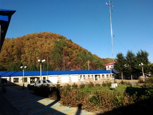 亮子河林场