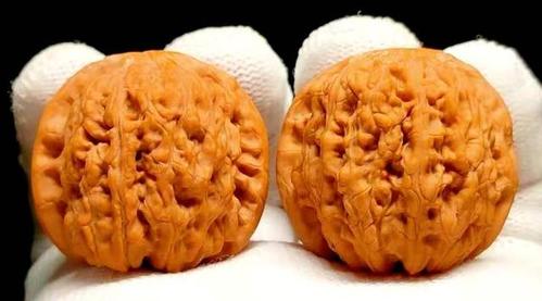 150种文玩核桃品种分享之98:血麒麟狮子头(平谷骰子)