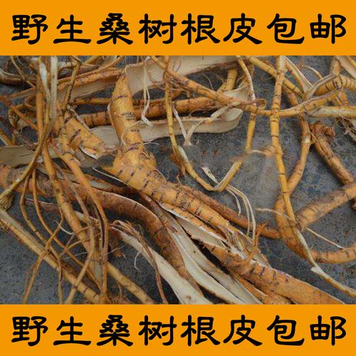 2018年新货到桑根皮老桑树根皮桑根皮老树桑白皮老桑皮一1斤包邮