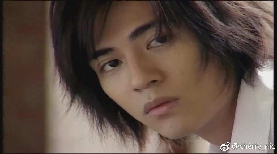 周渝民角色介绍之花泽类