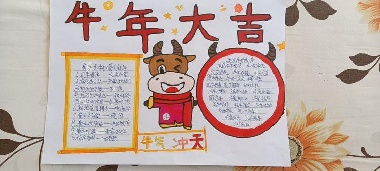区二校学五(3)班寒假作业之牛年手抄报