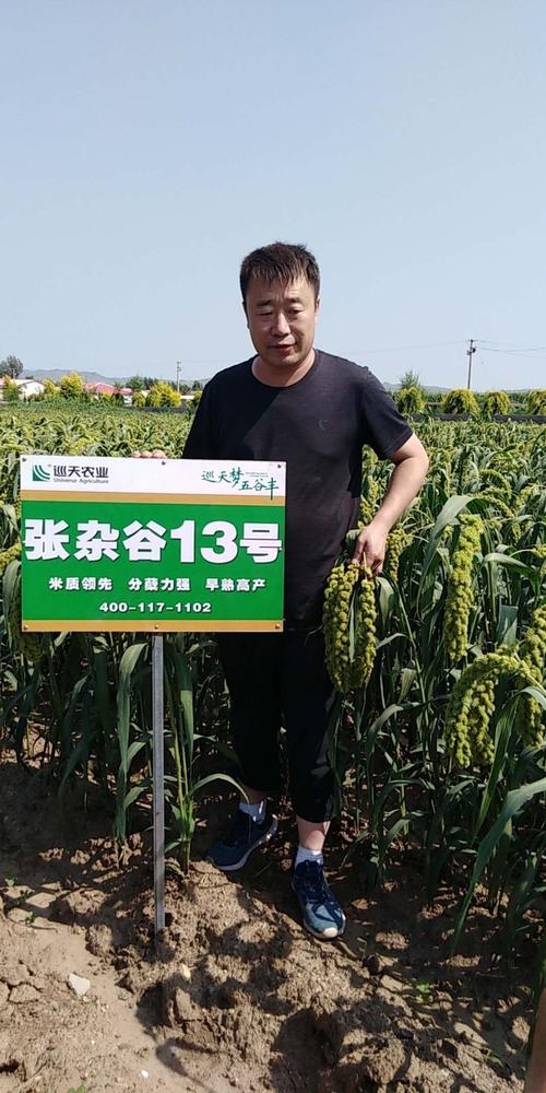 2019年"张杂谷"感恩回馈订货会!