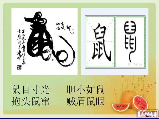 鼠目寸光 抱头鼠窜 胆小如鼠 贼眉鼠眼