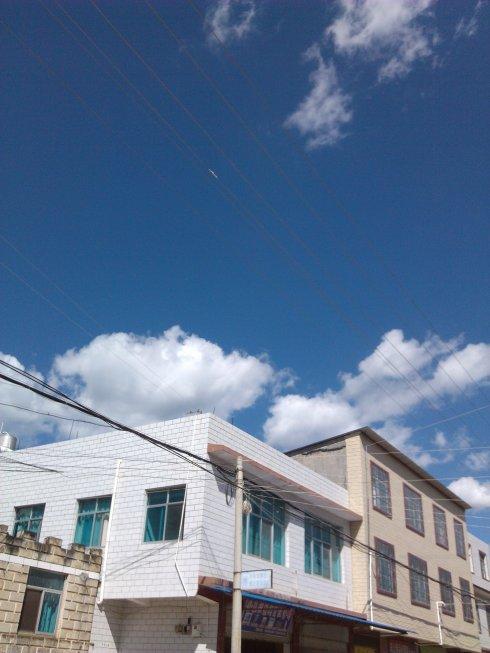 10点多抵达楚雄牟定县江坡镇迤庄村,一下就被村口的古树吸引