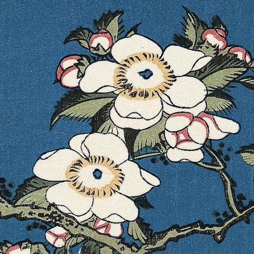 花!日式木刻花卉