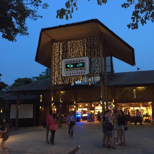  p>新加坡夜间野生动物园(night safari)是世界首家于夜间供游客游览
