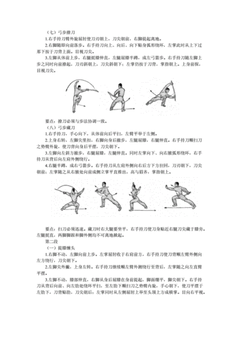 初级刀术教案.doc
