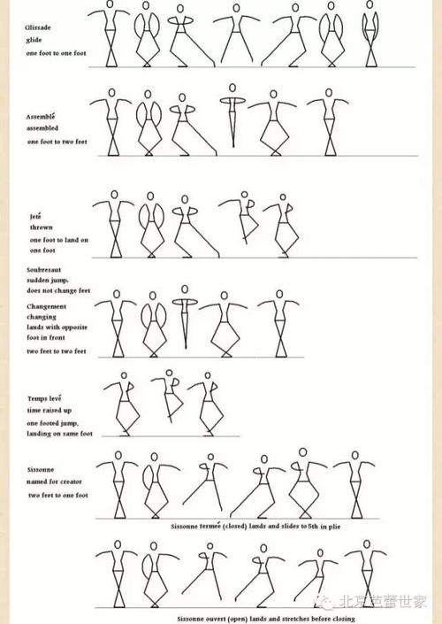 写给零基础&初级芭蕾爱好者