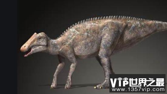 原栉龙:北美大型植食性恐龙(体长8米/有数百颗牙齿)