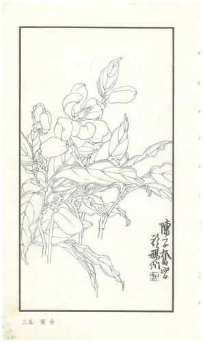 《陈子奋白描花卉册》图赏(多图)