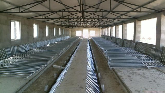 农村建猪场年出栏200头肥猪,需要投入30万?看猪场如何